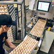 Hatchery worker loads egg flats onto Embrex Inovoject conveyor for in ovo vaccination.