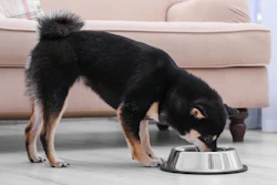 Musti Group, a pet specialty retailer based in Finland, reported robust financial results.