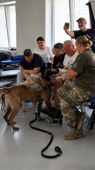 Bentley is a Belgian Malinois who also serves with the Kyiv Region Police and works alongside Kateryna Bieliaieva. Bentley detects explosives and weapons. During the full-scale war, he worked at checkpoints and took part in searches and demining operations in the Kyiv Region.