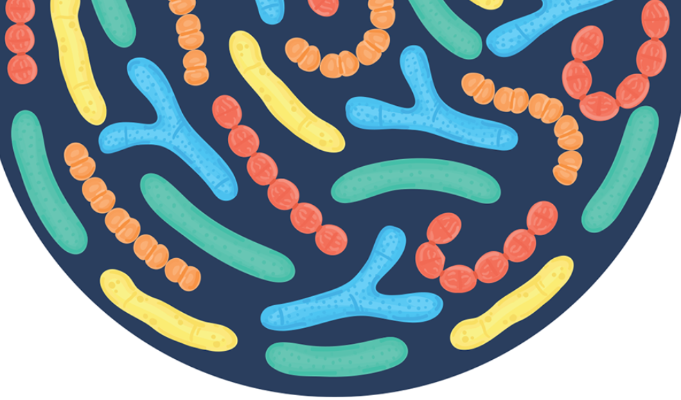 Biotics Sep26