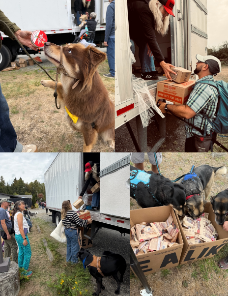 Boss Dog Brand participated in Dog Days of Summer with a donation of food and treats for local pets and animal rescues.