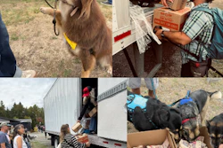 Boss Dog Brand participated in Dog Days of Summer with a donation of food and treats for local pets and animal rescues.