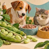 Brown and white dog and tabby cat with food bowls surrounded by fresh peas and vegetables