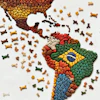Dall·e 2024 06 27 06 33 29 A Map Of Latin America Made With Dog Kibble Arranged Like A Mosaic The Different Countries Are Outlined And Distinguishable By Variations In Kibble C