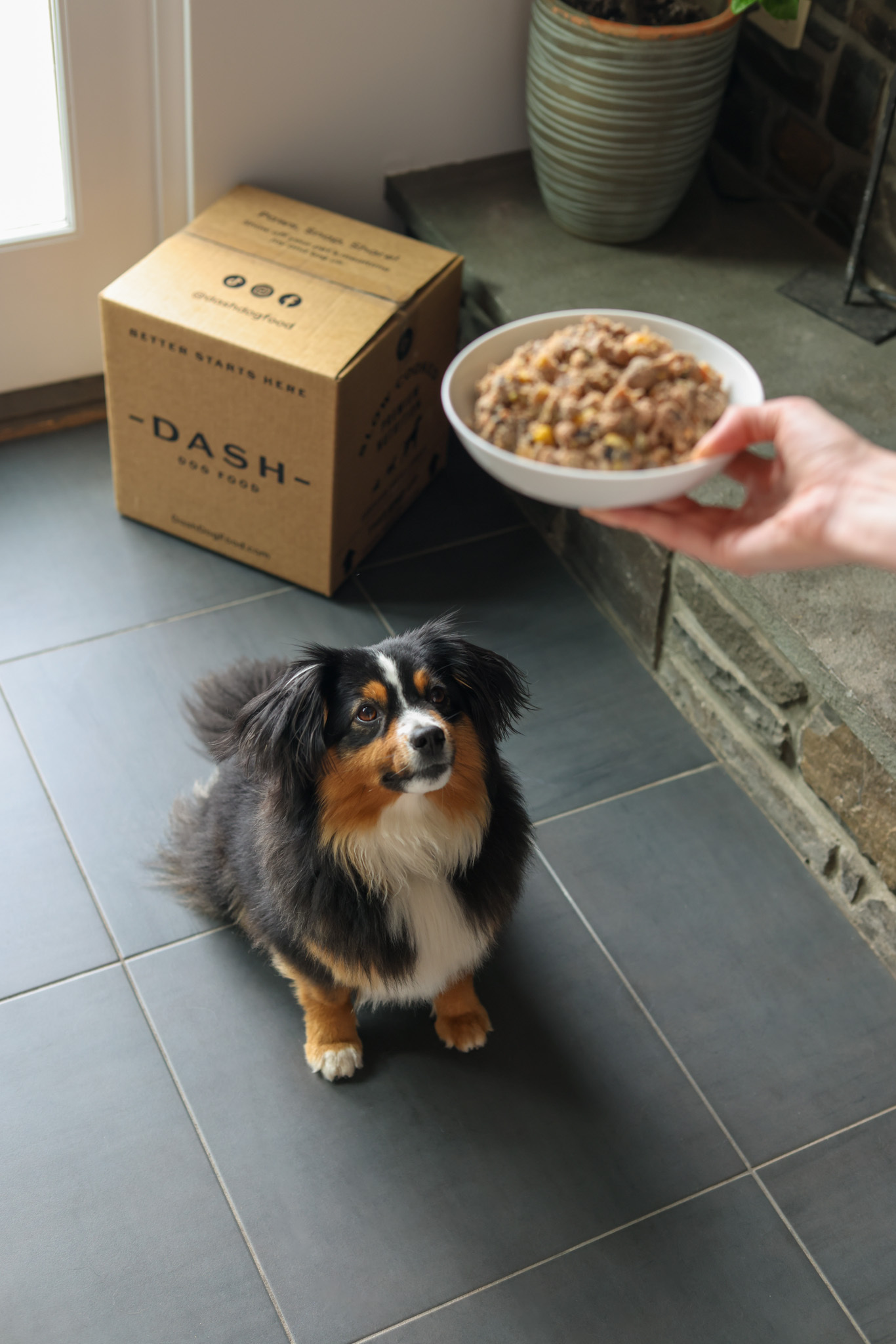 Dash Food
