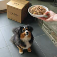Dash Food