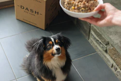 Dash Food