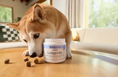Fera Pets Longevity Chews
