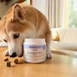 Fera Pets Longevity Chews