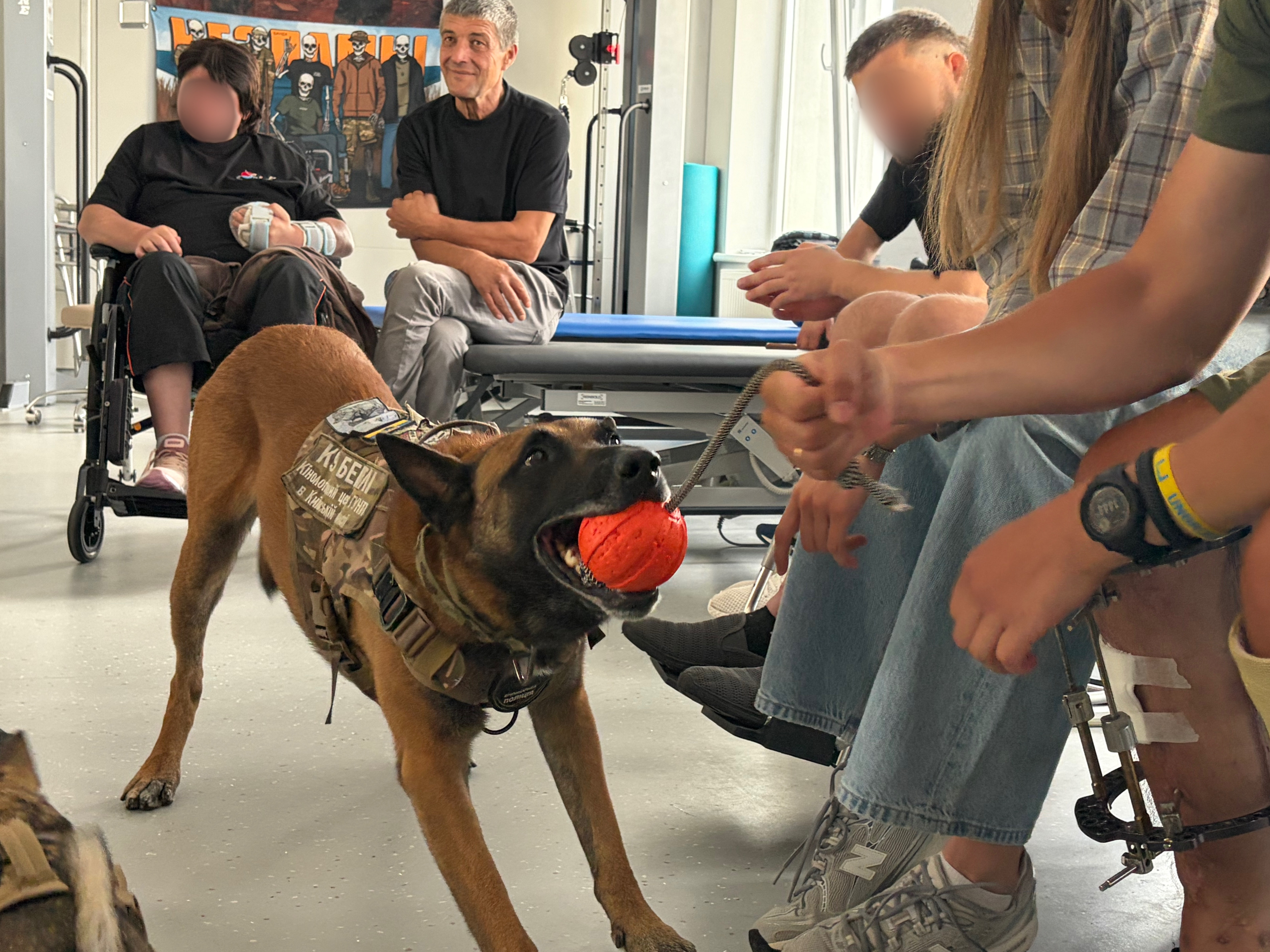 Since the start of the full-scale war, Unbroken Animals has helped approximately 300,000 animals, distributing 2,400 metric tons of pet food, providing more than 31,000 vaccinations and helping find new homes for more than 2,940 animals.