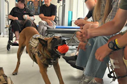 Since the start of the full-scale war, Unbroken Animals has helped approximately 300,000 animals, distributing 2,400 metric tons of pet food, providing more than 31,000 vaccinations and helping find new homes for more than 2,940 animals.