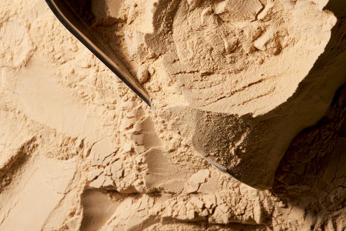 The microbial protein ingredient evaluated in the study was incorporated at 10% into a dry extruded pet food formulation, replacing fish meal and part of the poultry meal.