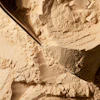 The microbial protein ingredient evaluated in the study was incorporated at 10% into a dry extruded pet food formulation, replacing fish meal and part of the poultry meal.