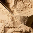The microbial protein ingredient evaluated in the study was incorporated at 10% into a dry extruded pet food formulation, replacing fish meal and part of the poultry meal.