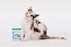 Brown and white cat wearing green collar scratching face next to Native Pet Immune supplement container