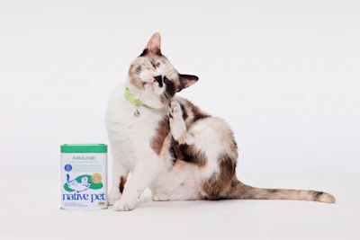 Brown and white cat wearing green collar scratching face next to Native Pet Immune supplement container