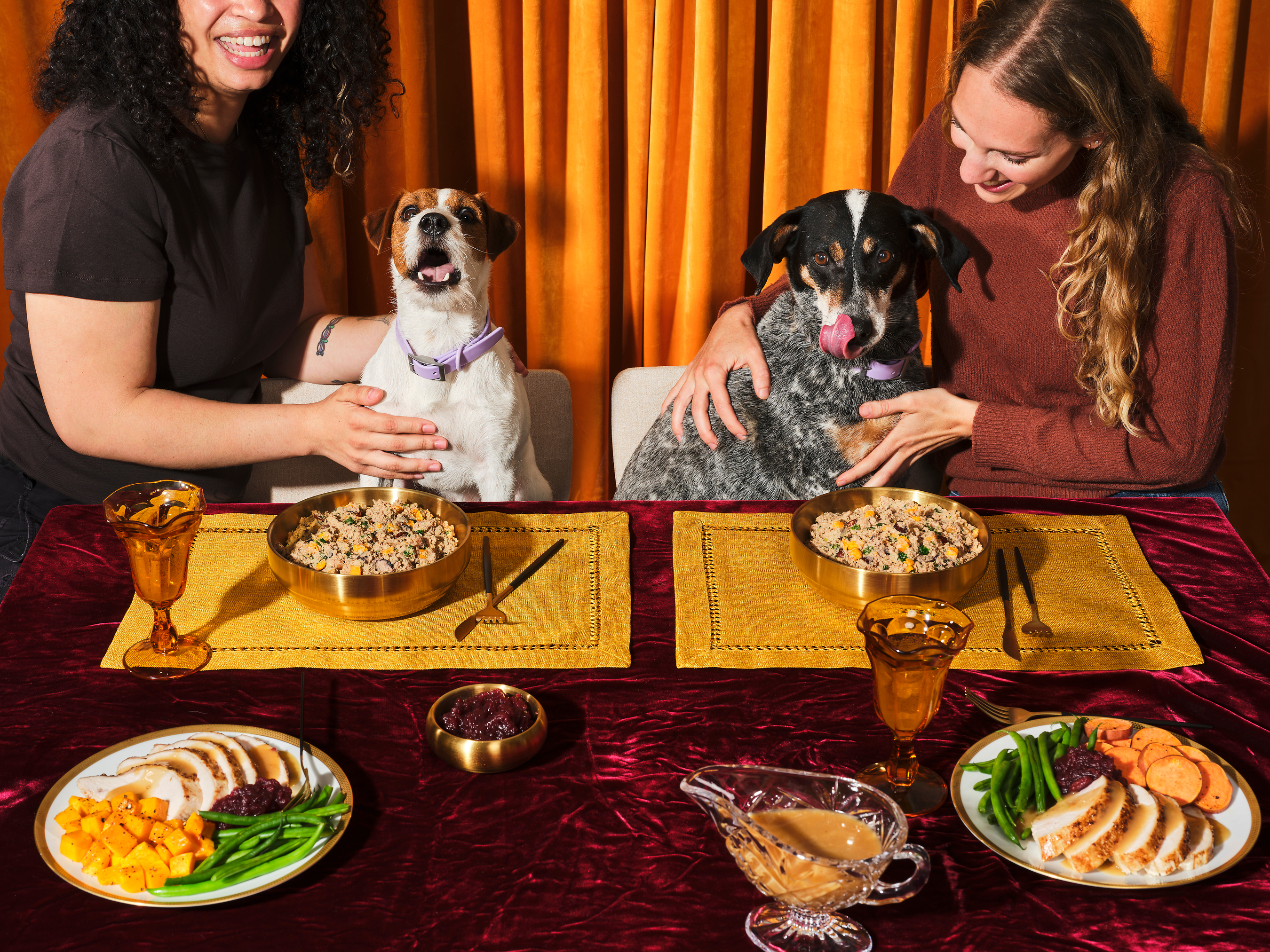 Ollies Holiday Feast