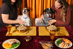 Ollies Holiday Feast