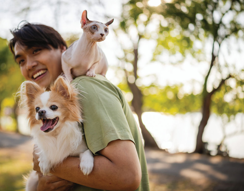 Pet Food Apac Sep26