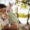 Pet Food Apac Sep26