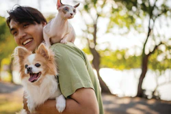 Pet Food Apac Sep26