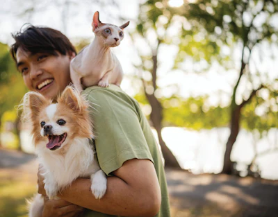 Woman holding a tan Chihuahua and white hairless dog in a sunny park with trees