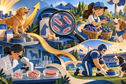 Petfood Industry News Quiz September 4 10 2026 Illustration V2 Papercraft