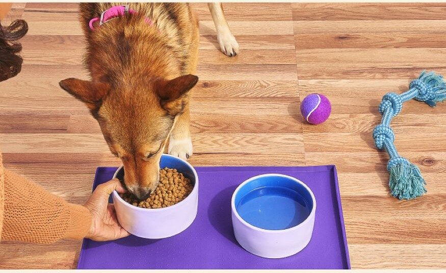 Instacart is now Petsense's exclusive same-day delivery partner.
