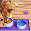 Instacart is now Petsense's exclusive same-day delivery partner.