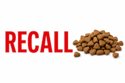Recall With Kibble Horizontal Chat Gpt