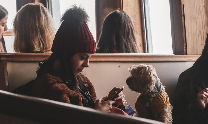 New research has found 43% of pet owners have used AI tools to get information about their pet's health or nutrition, with respondents turning to the tools an average of seven times per week.