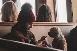 New research has found 43% of pet owners have used AI tools to get information about their pet's health or nutrition, with respondents turning to the tools an average of seven times per week.