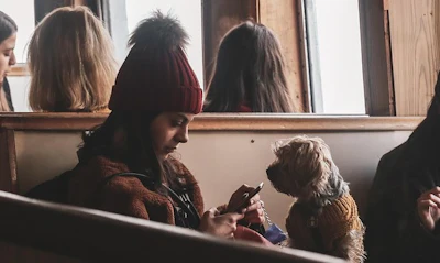 New research has found 43% of pet owners have used AI tools to get information about their pet's health or nutrition, with respondents turning to the tools an average of seven times per week.