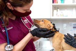 Saint Rocco Paws Partnership