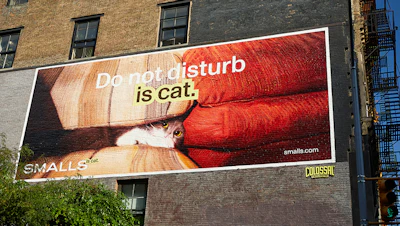Running through September 27, with select out-of-home placements continuing into October, “Is Cat” includes a major New York City presence across SoHo, NoHo, and Williamsburg, alongside a broader national media campaign.