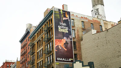 Smalls said its latest campaign is designed to connect with cat owners through culture and humor rather than traditional pet-category marketing approaches.