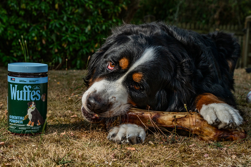 Dental Powder is the first product to reach market in the brand’s refreshed packaging, with a full rebrand reveal planned for the coming weeks.