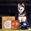 Husky dog sitting with The Farmer's Dog pet food packaging and crunchy biscuit treats on grass