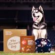 Husky dog sitting with The Farmer's Dog pet food packaging and crunchy biscuit treats on grass