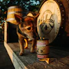 Chihuahua standing beside Jack Daniel's whiskey barrel and bottle in festive outdoor setting