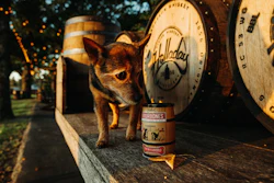 Chihuahua standing beside Jack Daniel's whiskey barrel and bottle in festive outdoor setting