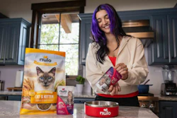 Woman with purple hair holding Nulo cat food product in modern kitchen with pet food packaging and red bowl