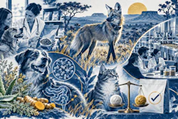 Collage illustration featuring veterinarian with pets, wildlife, medical microscope, urban professionals, and botanical elements in blue and gold tones