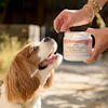 Person holding Fera Pets Healthy Weight & Muscles supplement jar while dog looks up outdoors