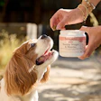 Person holding Fera Pets Healthy Weight & Muscles supplement jar while brown and white dog looks up expectantly outdoors