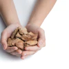 Handful of roasted cashew nuts held in open palms against white background
