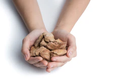 Handful of roasted cashew nuts held in open palms against white background