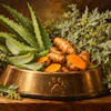 Copper pet bowl with paw print emblem filled with fresh turmeric root, aloe vera, and dried herbs on rustic wooden surface