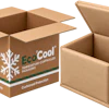 EcoCool temperature-controlled cardboard shipping boxes with green and white branding