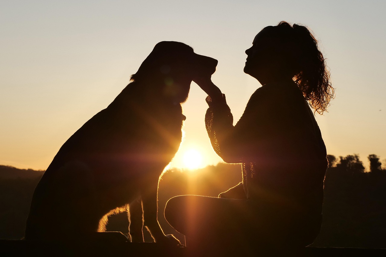 Silhouette of woman petting dog against golden sunset sky